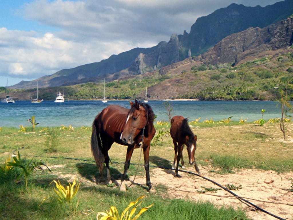 Anaho Bay