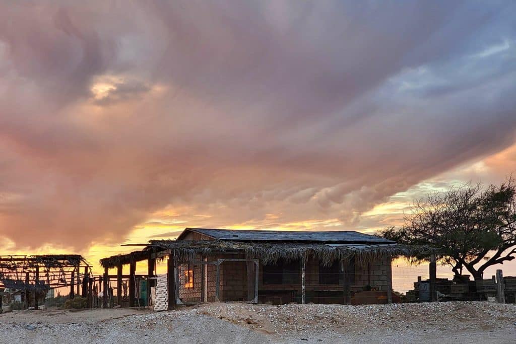 Oyster shack