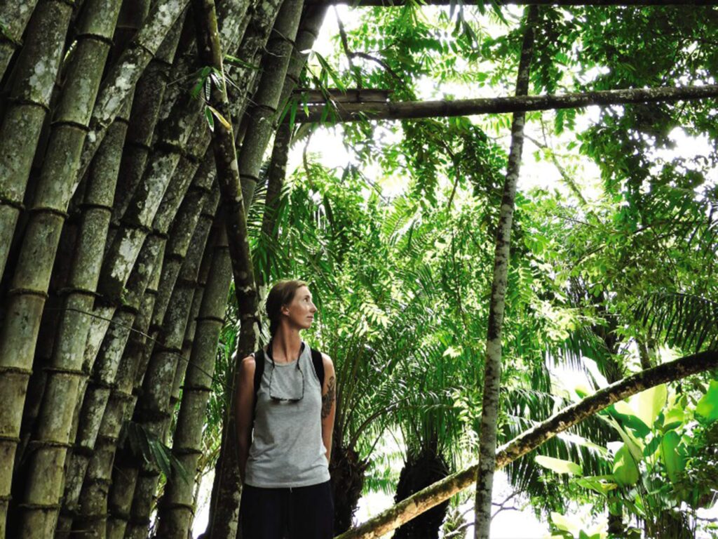 Hiking trail between Drake Bay and Corcovado National Park