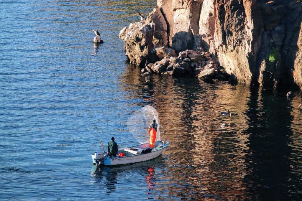 Fishermen at Isla Danzante casting their nets