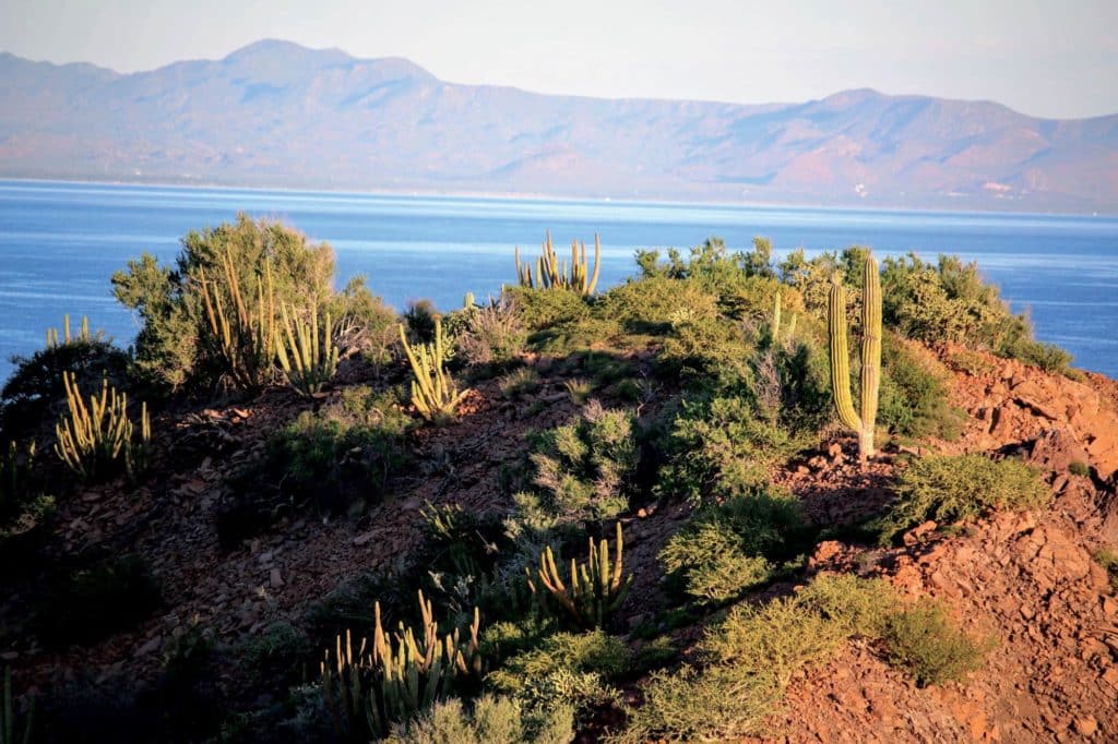 Sierra de la Giganta mountain range