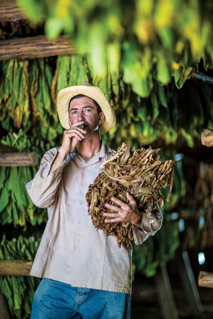 Cigar production