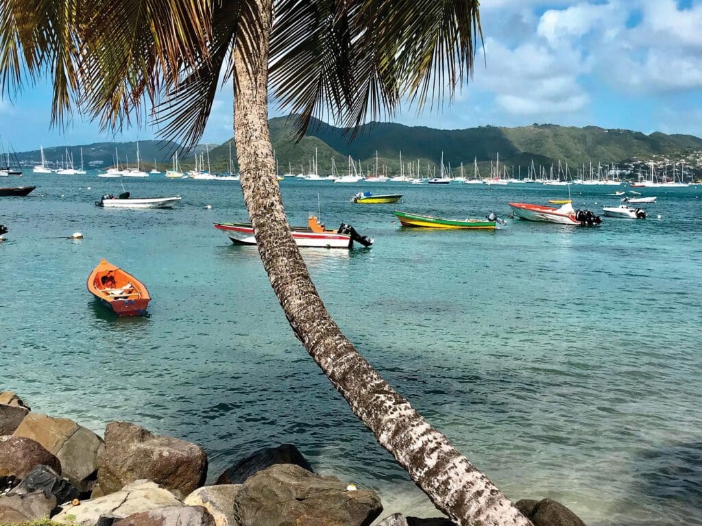 Boats in a harbor in Sainte-Anne, Martinique